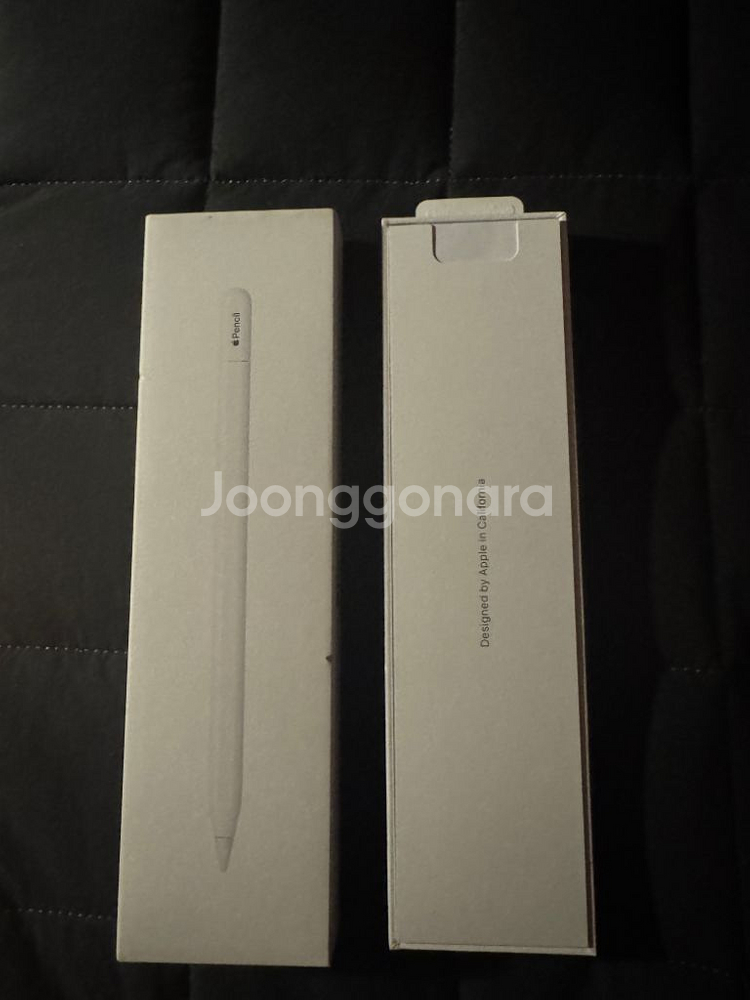 애플펜슬 (USB-C)--2