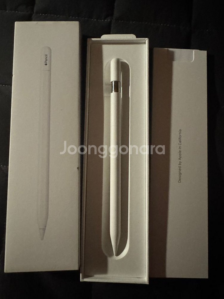 애플펜슬 (USB-C)--4