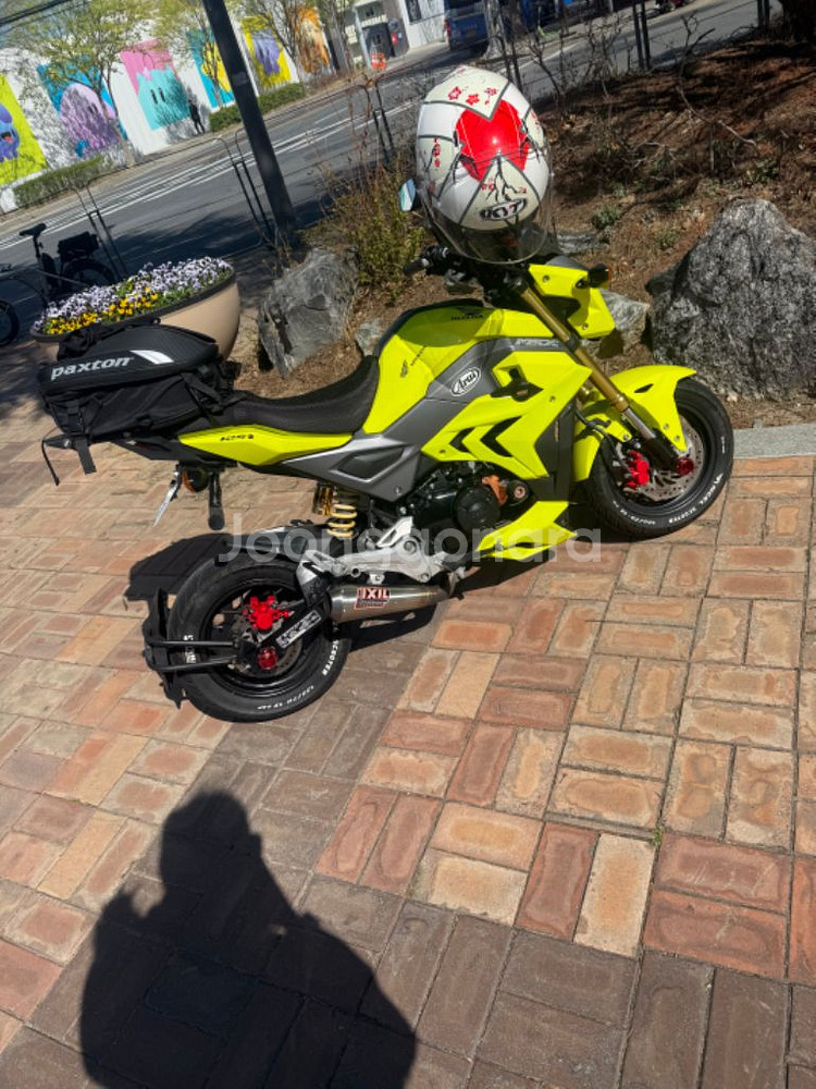 msx125--2