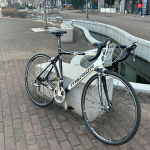 메리다 905