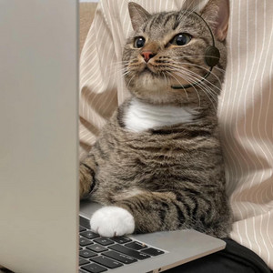 아이폰 6s 구해요