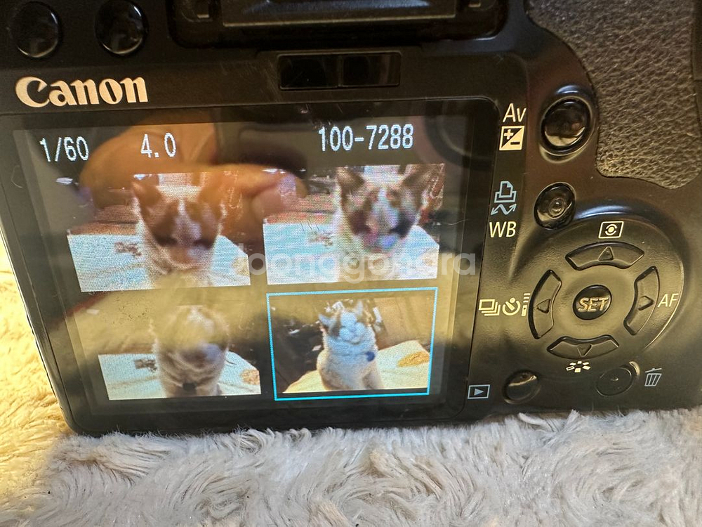 캐논 EOS 450D, DSLR 카메라팝니다--8
