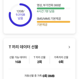 sk 데이터 1기가