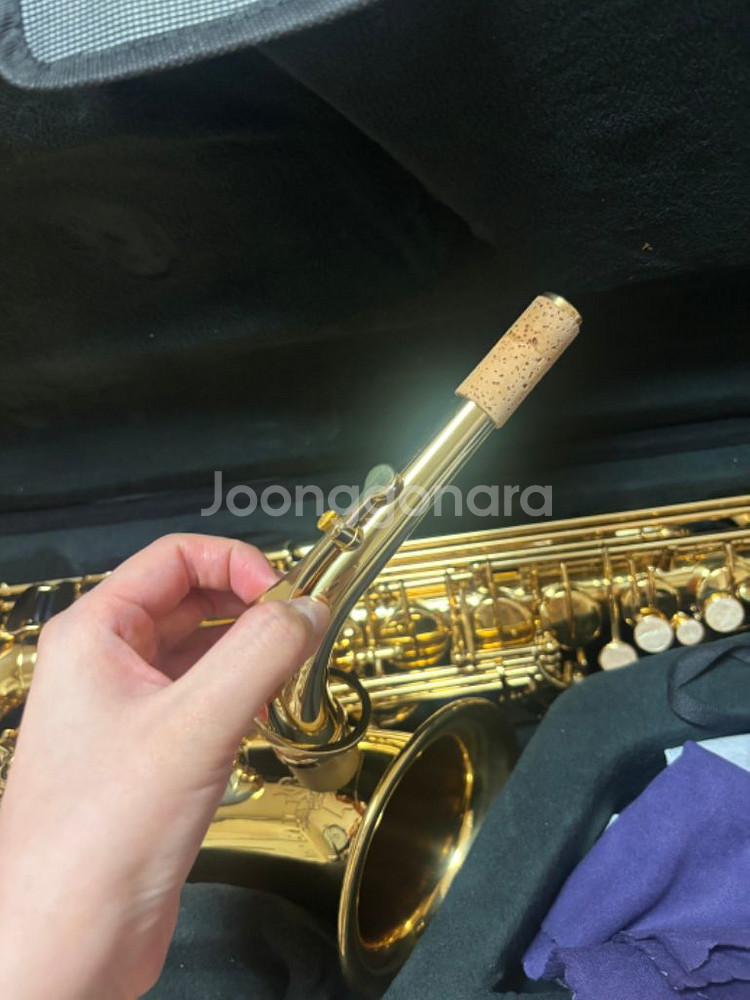알토 - 자이언트 입문용 색소폰--3