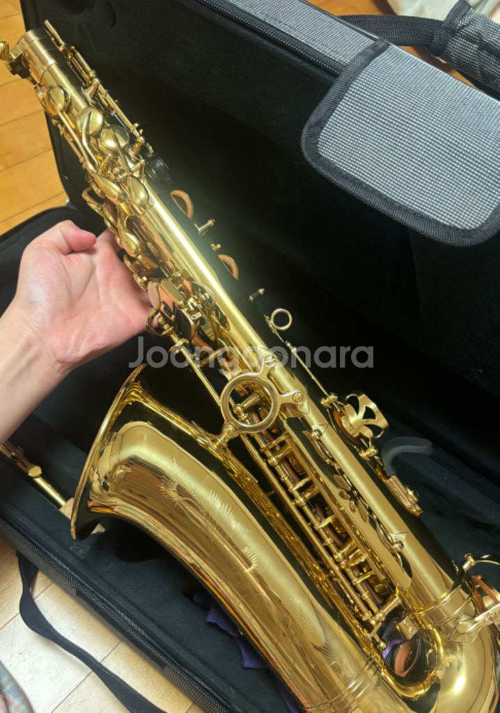 알토 - 자이언트 입문용 색소폰--2