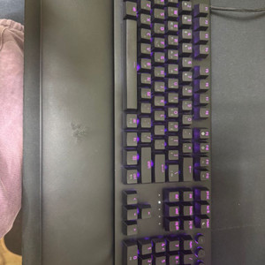 레이저 헌츠맨 v2 리니어 풀배열 팜레스트 포함