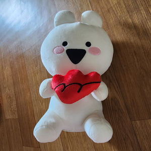 오버액션토끼 녹음인형(변요한모델때산거)+충전케이블+당근