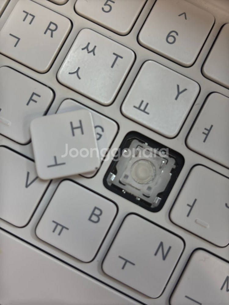 Apple 정품 매직 키보드--2