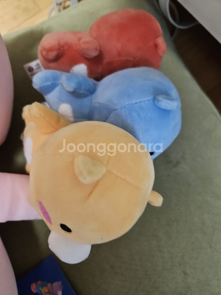 어부바인형 신협 돼지어부바--1