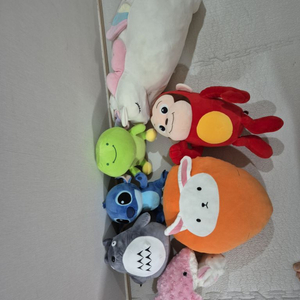 인형 무료 나눔