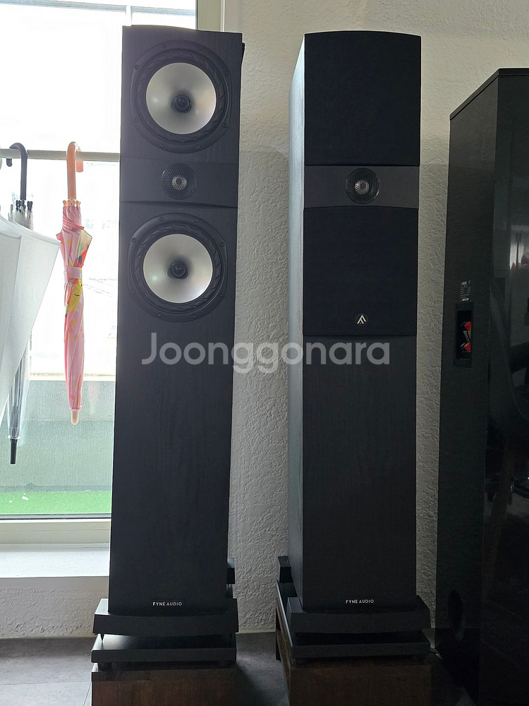 파인오디오 f303i--0
