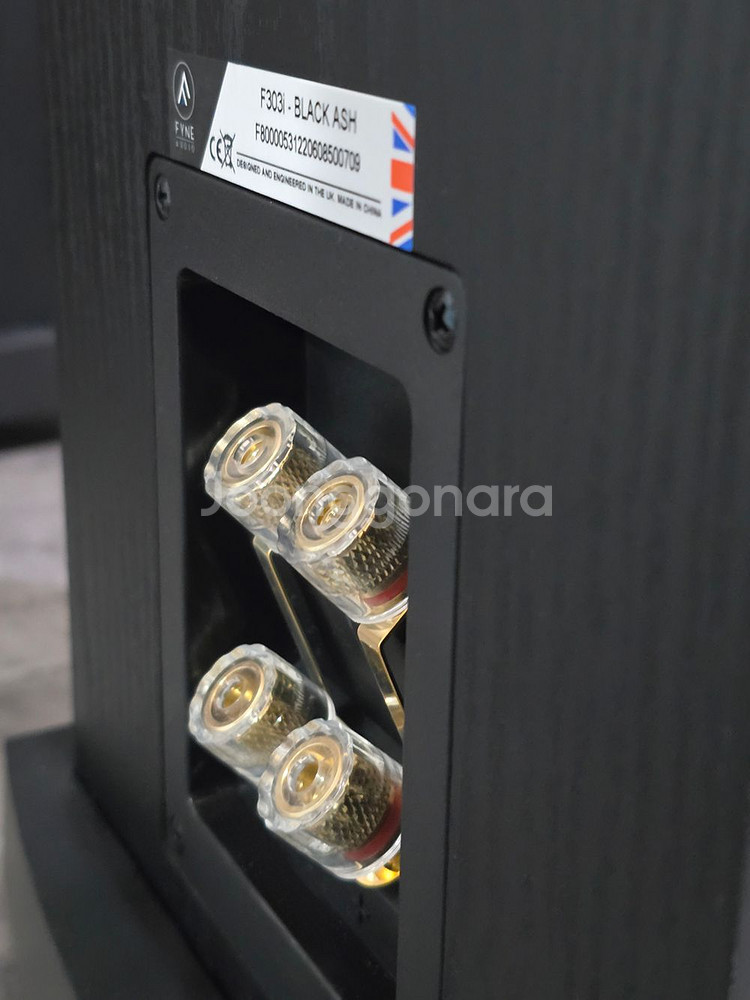 파인오디오 f303i--1
