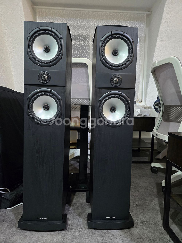 파인오디오 f303i--2