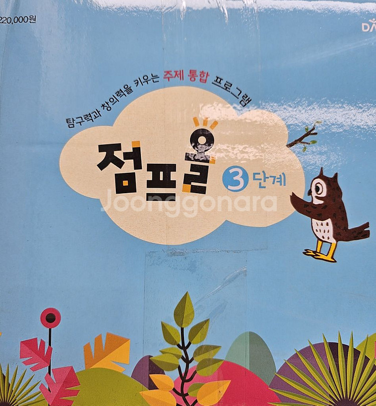 대교 점프올3단계--0