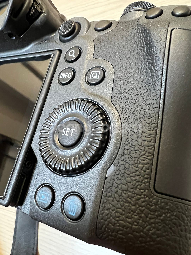 canon r6mk2 + rf 50 1.2 (4월1일)--3