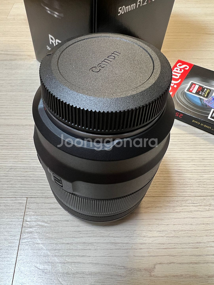 canon r6mk2 + rf 50 1.2 (4월1일)--4