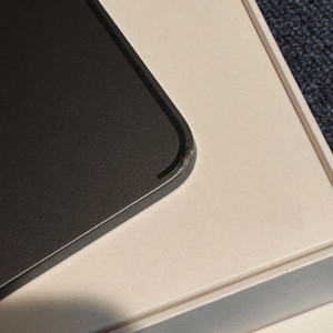 아이패드 프로 m1 11인치 256gb wifi 모델