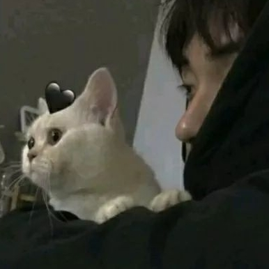 프로파일