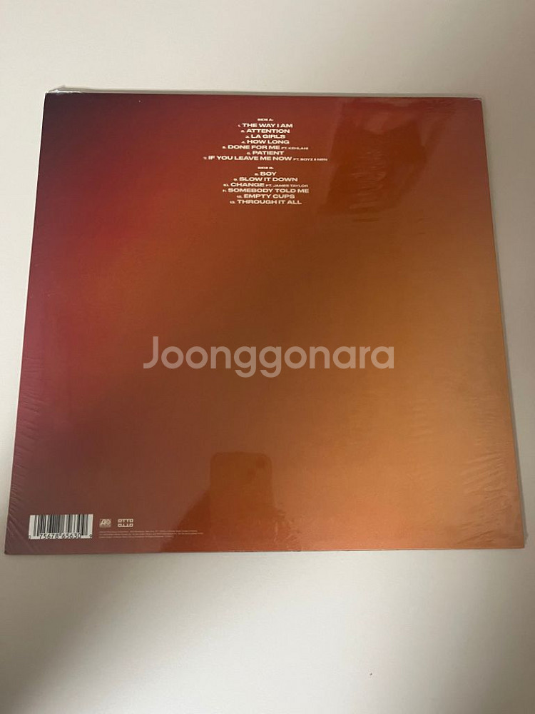 찰리푸스 2집 Voicenotes LP--1