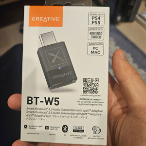 크리에이티브 Creative BT-W5