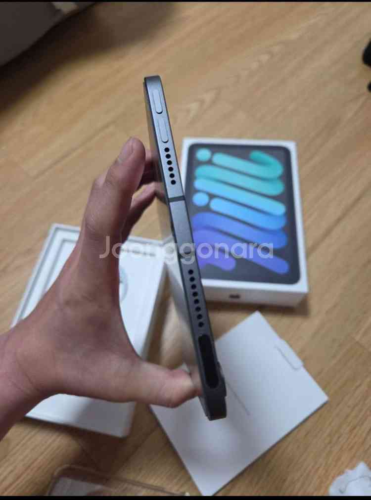 아이패드 미니6 256기가 셀룰러--4