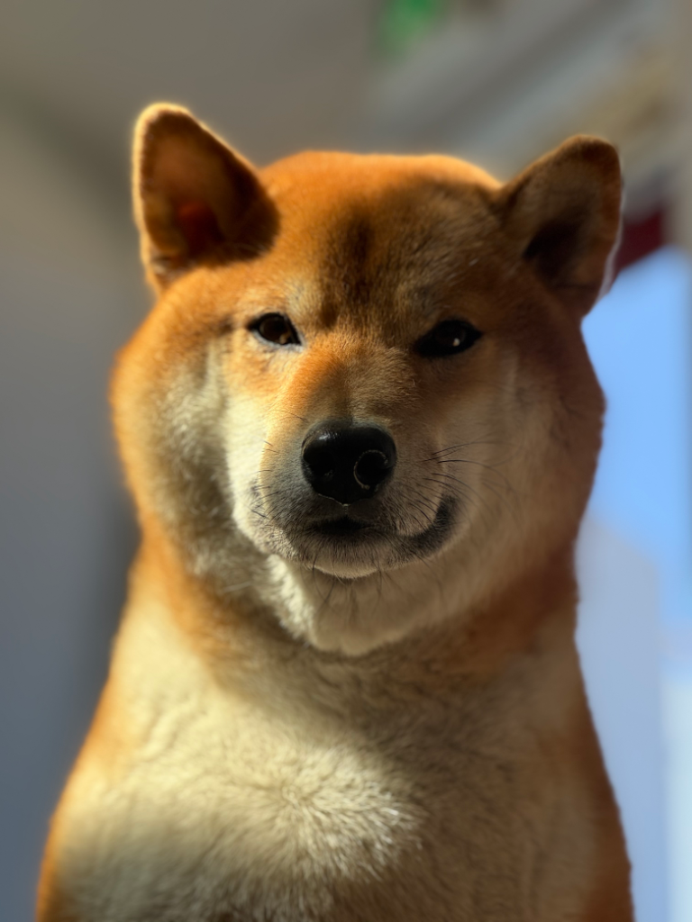 profile-image