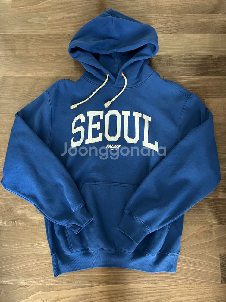 팔라스 x 챔피온 서울 후드티 (M)--0