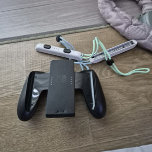 닌테도스위치동물숲에디션