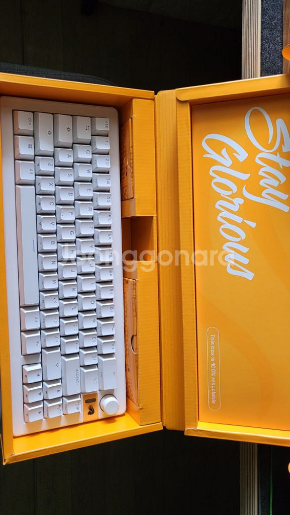 글로리어스 GMMK3 HE 65% Prebuilt 커스--0