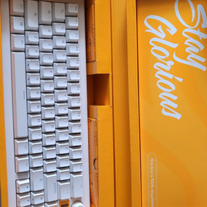 글로리어스 GMMK3 HE 65% Prebuilt 커스