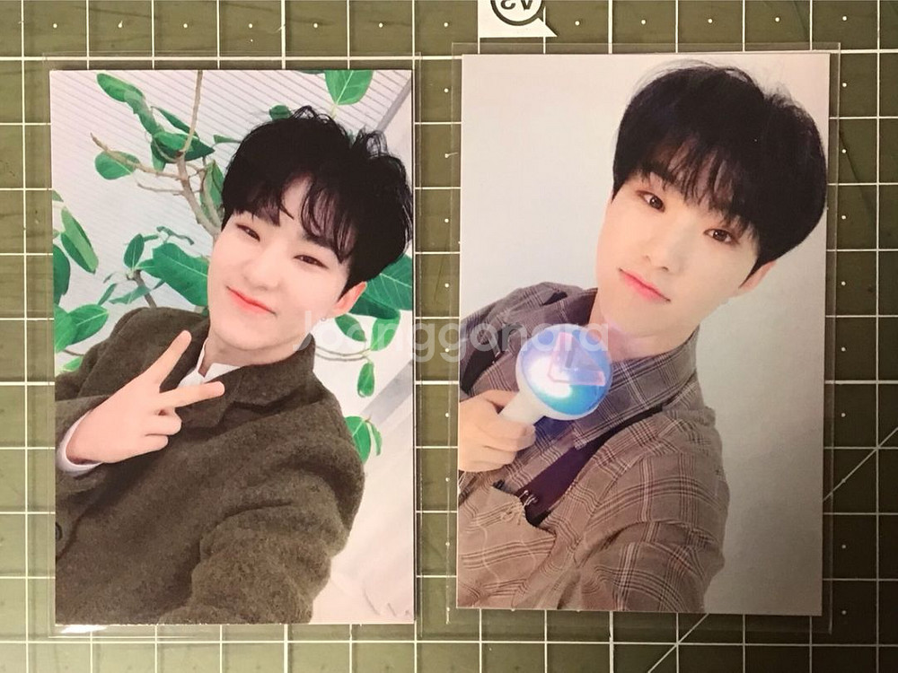 세븐틴 호시 캐럿랜드3기캐럿존 ymmd공방포카 양도--0