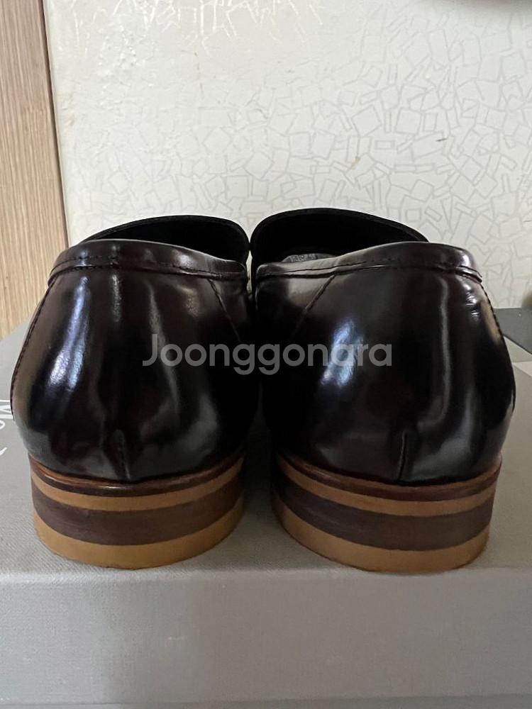 탠디 테슬 로퍼 265--3