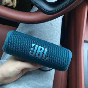 JBL 플립6