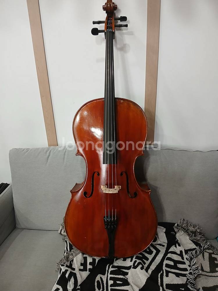 중고수제첼로--1