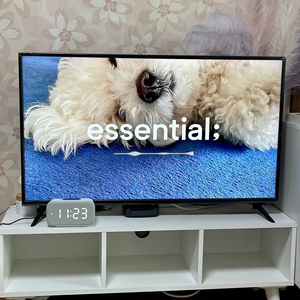 위니아 42인치 Tv