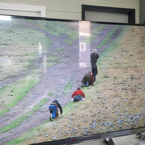 47인치 LG TV