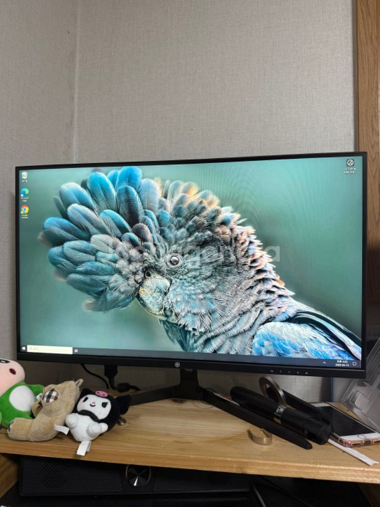 개인 본체 1060 6G + 1060 6g--3