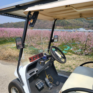 골프카트