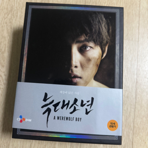 늑대소년 DVD