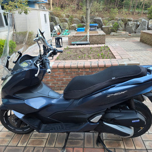pcx 125cc 22년식 26270km 폐지완료