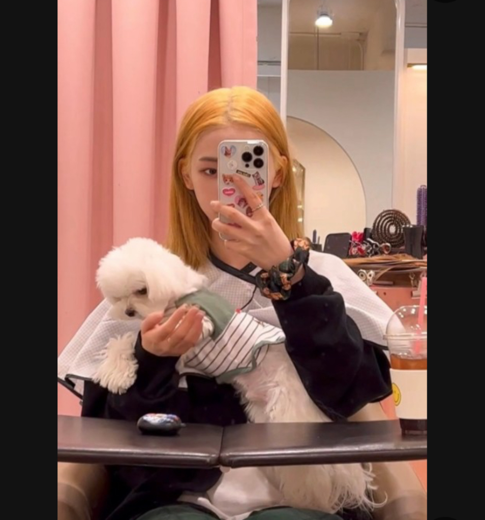 프로파일