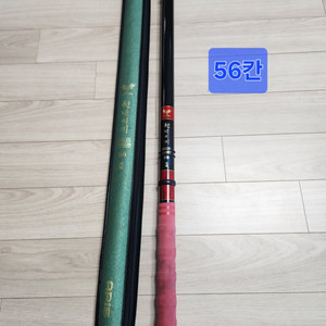 천년지기 골드 56칸