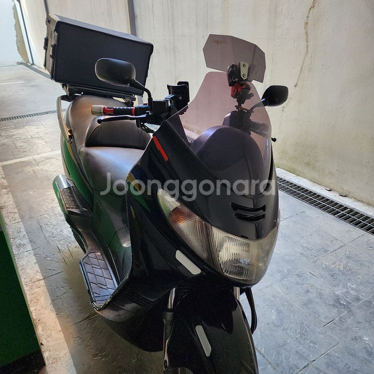 버그만400--1