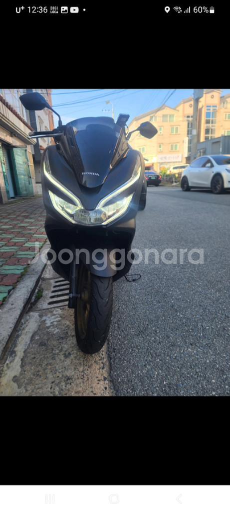 PCX125 (20년)--0