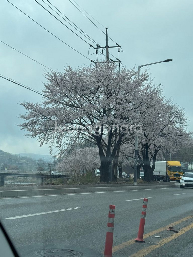 흔한남매 14-18--0