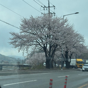 흔한남매 14-18