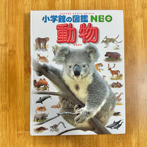 일본 동물 도감