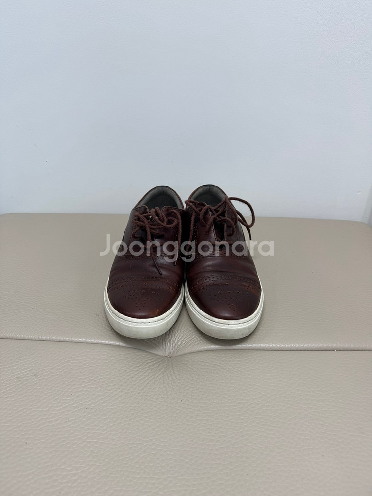 270 폴스미스--2