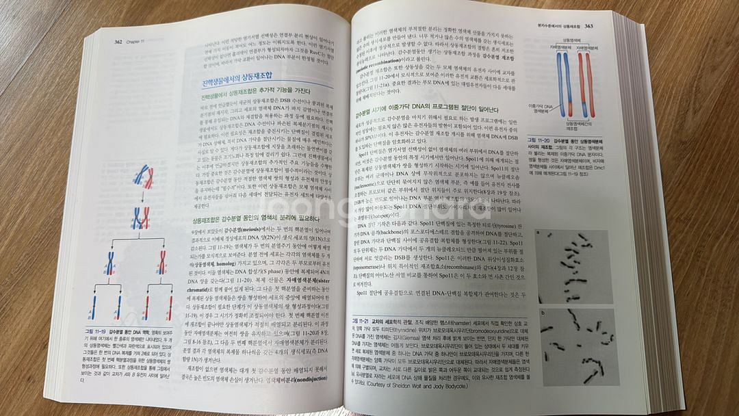 왓슨분자생물학--2