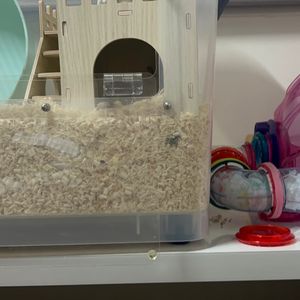 햄스터 120리터 케이지 + 하겐 헤비트레일 놀이기구
